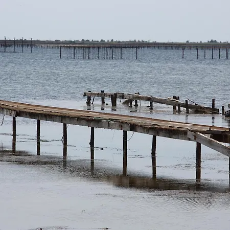 Lumineux Avec Climatisation, Parking Et Animaux Admis A - Fr-1-503-181 Lejlighed Balaruc-les-Bains