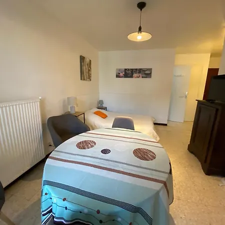Lumineux Avec Climatisation, Parking Et Animaux Admis A - Fr-1-503-181 Apartment