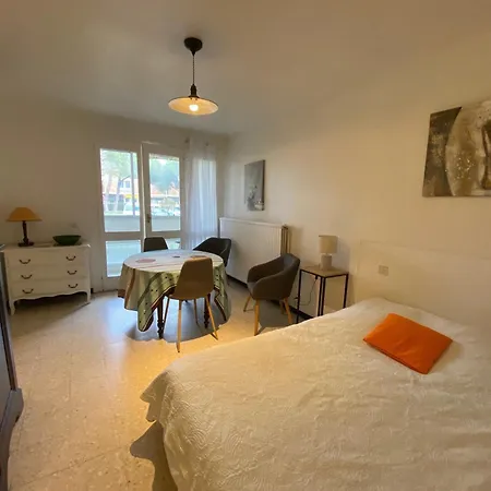 Apartment Lumineux Avec Climatisation, Parking Et Animaux Admis A - Fr-1-503-181 *