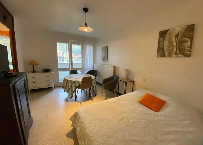 Apartament T1 A Balaruc, Animaux Admis, Parking Prive - Fr-1-503-181 *